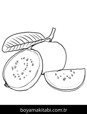 Meyveler boyama sayfası – basit çizim, kolay boyama
