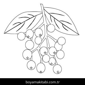 Meyveler boyama sayfası – çocuklar için, çizgi film temalı