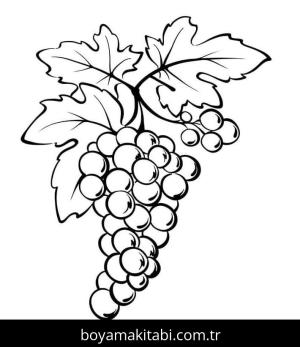 Meyveler boyama sayfası – boyama etkinliği, çocuk aktivitesi