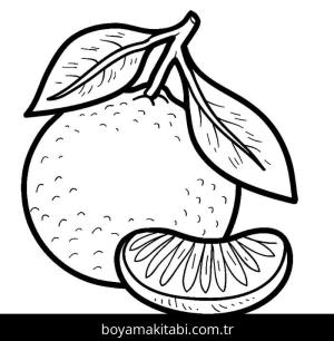 Meyveler boyama sayfası – yaratıcılığı geliştirir, keyifli zaman