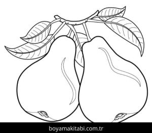 Meyveler Boyama