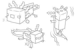 Minecraft boyama sayfası,  coloring page, Minecraft’tan güzel boyama sayfası Axolotl., 