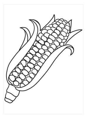 Mısır boyama sayfası,  coloring page, Hint Mısırı, 