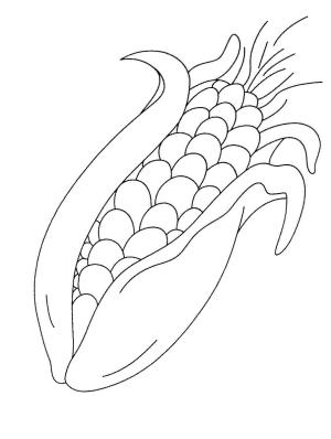 Mısır boyama sayfası,  coloring page, Güzel Mısır, 