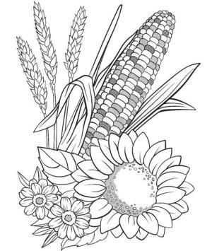 Mısır boyama sayfası,  coloring page, Mısır ve Çiçek, 