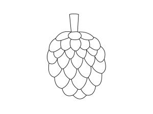 Muhallebi Elma boyama sayfası,  coloring page, Büyük Cherimoya, 