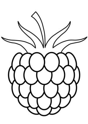 Muhallebi Elma boyama sayfası,  coloring page, Normal Cherimoya, 