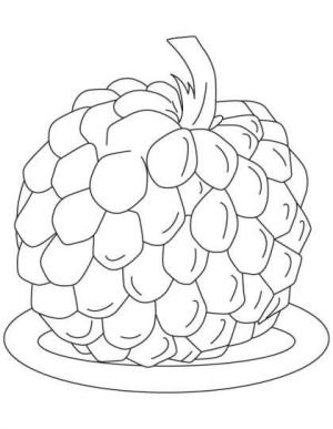 Muhallebi Elma boyama sayfası,  coloring page, Soursop Tabakta, 