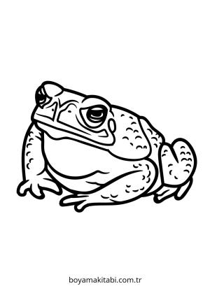 Mutlu Üzgün ​​Kızgın boyama sayfası – sanatsal çalışma, çocuklar için