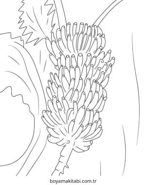 Muz boyama sayfası – yaratıcılık, eğlenceli etkinlik