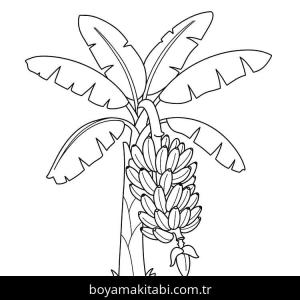 Muz boyama sayfası – keyifli zaman, renkli çizimler