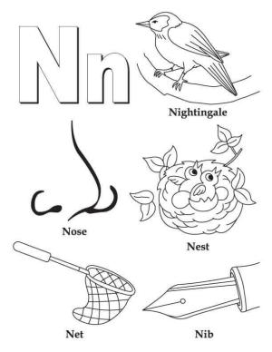 N Harfi boyama sayfası,  coloring page, Bülbül, Burun, Yuva, Ağ, Uç N Harfi, 