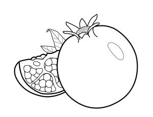 Nar boyama sayfası,  coloring page, Nar Meyve, 