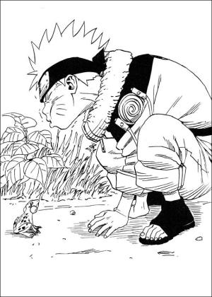 Naruto boyama sayfası,  coloring page, Kurbağa ile Komik Naruto, 