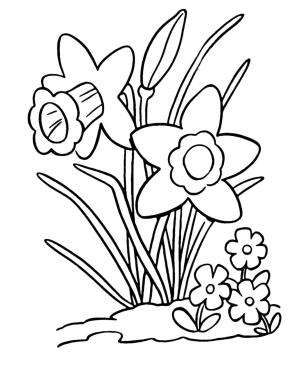 Nergis boyama sayfası,  coloring page, Güzel Nergis bedava, 