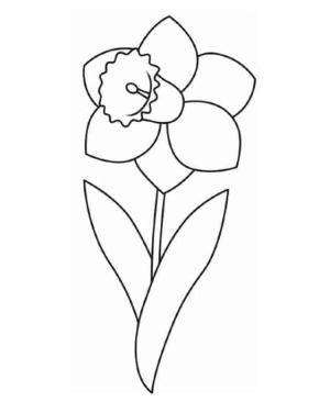 Nergis boyama sayfası,  coloring page, Kolay Nergis, 