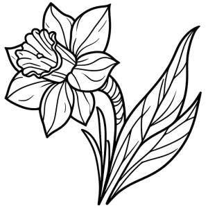 Nergis boyama sayfası,  coloring page, Bir Nergis Çiçeği, 