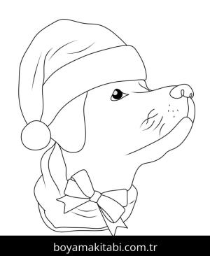 Noel Hayvanları Boyama