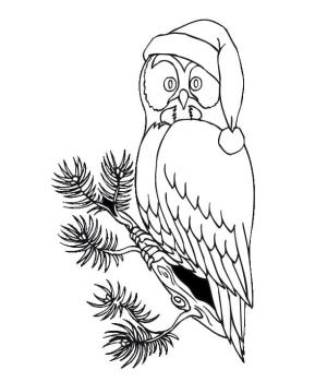 Noel Hayvanları boyama sayfası,  coloring page, Noel Baykuşu, 