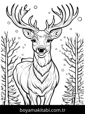 Noel boyama sayfası,  coloring page, , 