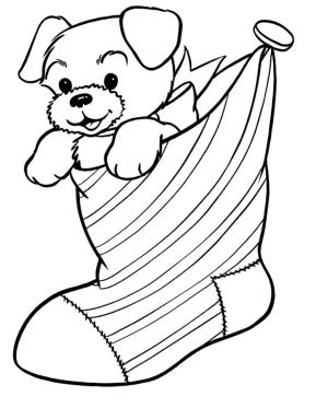 Noel boyama sayfası,  coloring page, Çoraplı Köpek, 