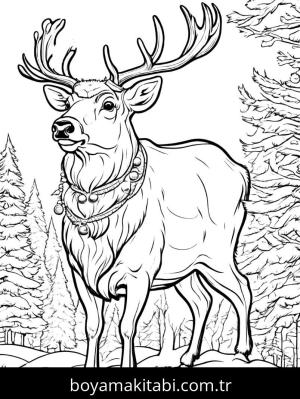 Noel boyama sayfası,  coloring page, , 