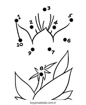 Noktaları Birleştirme boyama sayfası – el becerilerini geliştirir, boyama çalışması