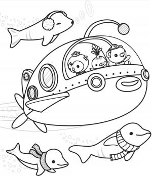 Octonauts boyama sayfası,  coloring page, Octonauts’u Keşfedin, 