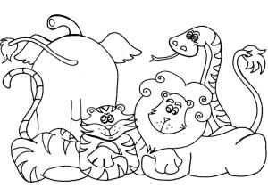 Okul öncesi boyama sayfası,  coloring page, Çocuklar için Hayvanlar, 