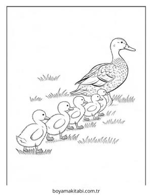 Ördek boyama sayfası – ücretsiz yazdır, boyama etkinliği