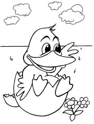 Ördek boyama sayfası,  coloring page, Yavru ördek, 