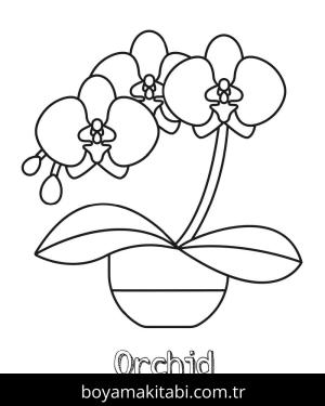 Orkide boyama sayfası – çocuklar için, çizgi film temalı