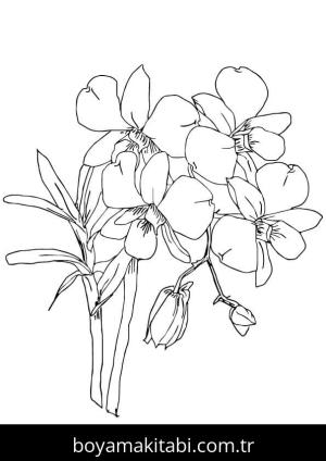 Orkide boyama sayfası – PDF indir, sevimli karakter