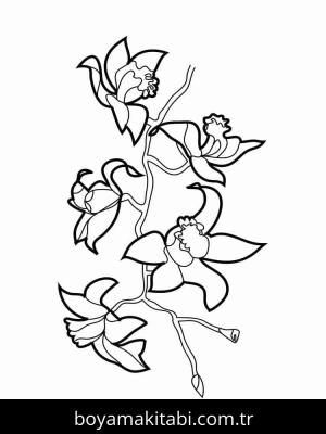 Orkide boyama sayfası – el becerilerini geliştirir, boyama çalışması