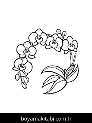Orkide boyama sayfası – yaratıcılık, eğlenceli etkinlik