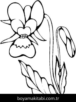 Orkide boyama sayfası – çizgi film temalı, basit çizim