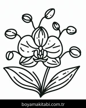 Orkide boyama sayfası – boyama etkinliği, çocuk aktivitesi