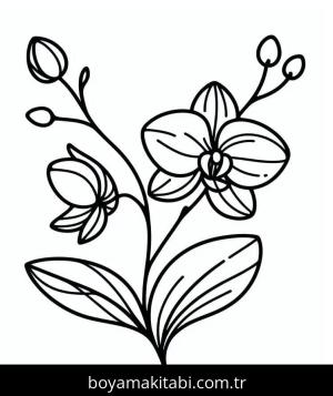 Orkide boyama sayfası – sevimli karakter, sanatsal çalışma