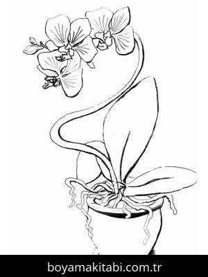 Orkide boyama sayfası – çizgi film temalı, basit çizim