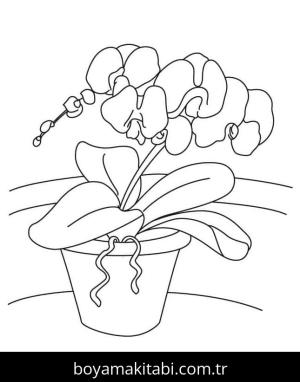 Orkide boyama sayfası – sanatsal çalışma, çocuklar için