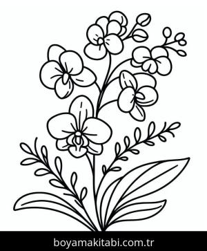 Orkide boyama sayfası – yaratıcılık, eğlenceli etkinlik