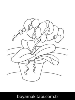 Orkide boyama sayfası – evde etkinlik, ücretsiz yazdır