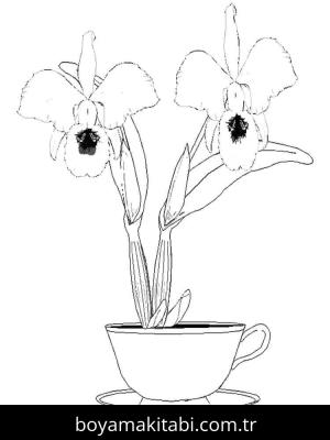 Orkide boyama sayfası – yaratıcılığı geliştirir, keyifli zaman