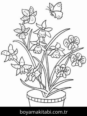 Orkide boyama sayfası – çocuk aktivitesi, PDF indir
