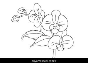 Orkide boyama sayfası – PDF indir, sevimli karakter