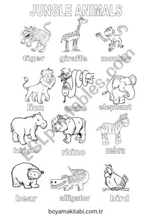 Orman Hayvanları boyama sayfası – sevimli karakter, sanatsal çalışma