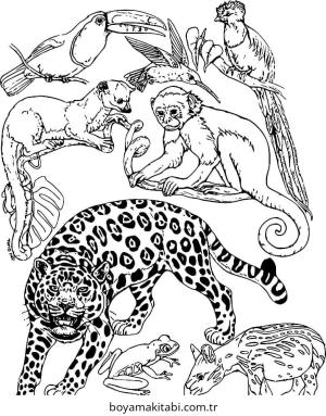 Orman Hayvanları boyama sayfası – el becerilerini geliştirir, boyama çalışması