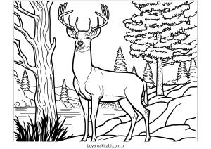 Orman boyama sayfası – boyama etkinliği, çocuk aktivitesi