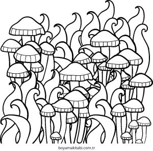 Orman boyama sayfası – çocuk aktivitesi, PDF indir