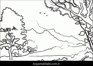 Orman boyama sayfası – kolay boyama, eğitici aktivite